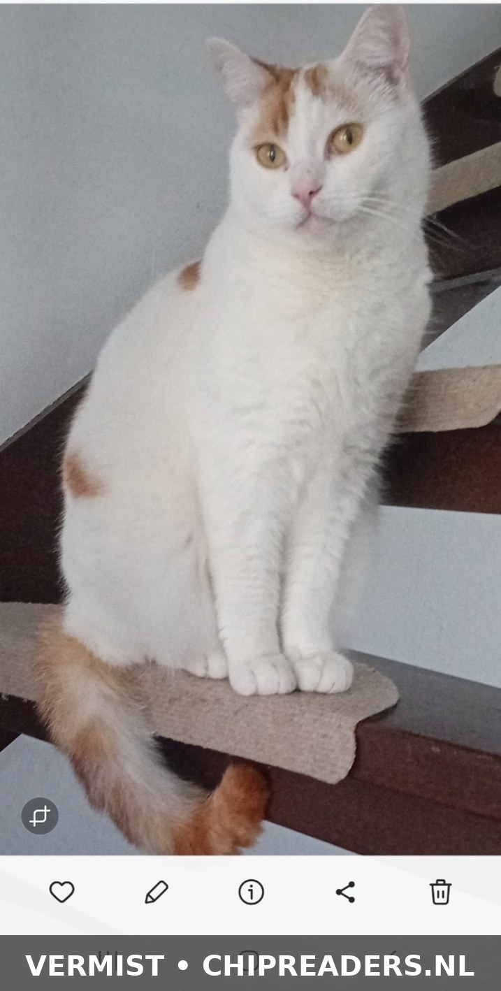 Foto van Binky