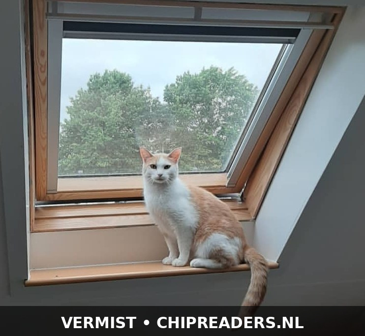Foto van Bhody