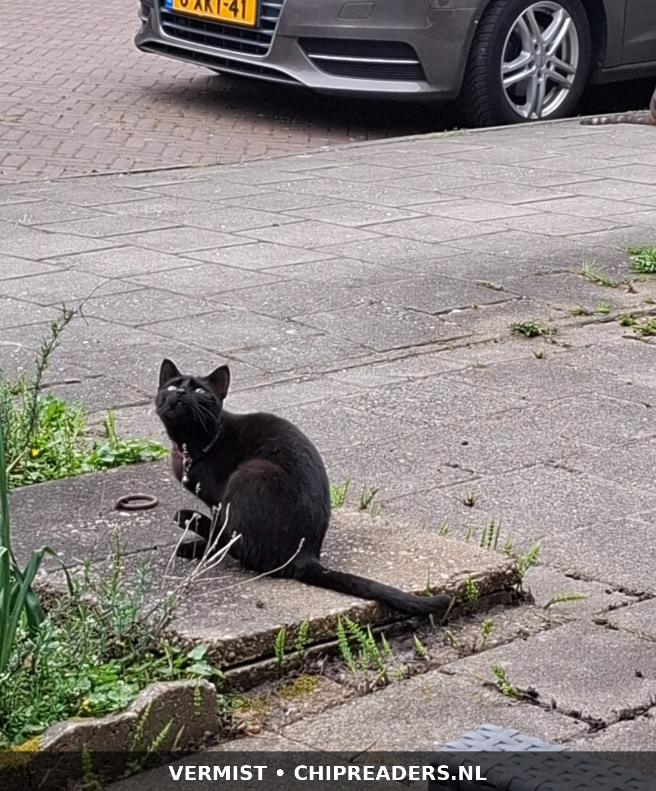 Maya foto 1