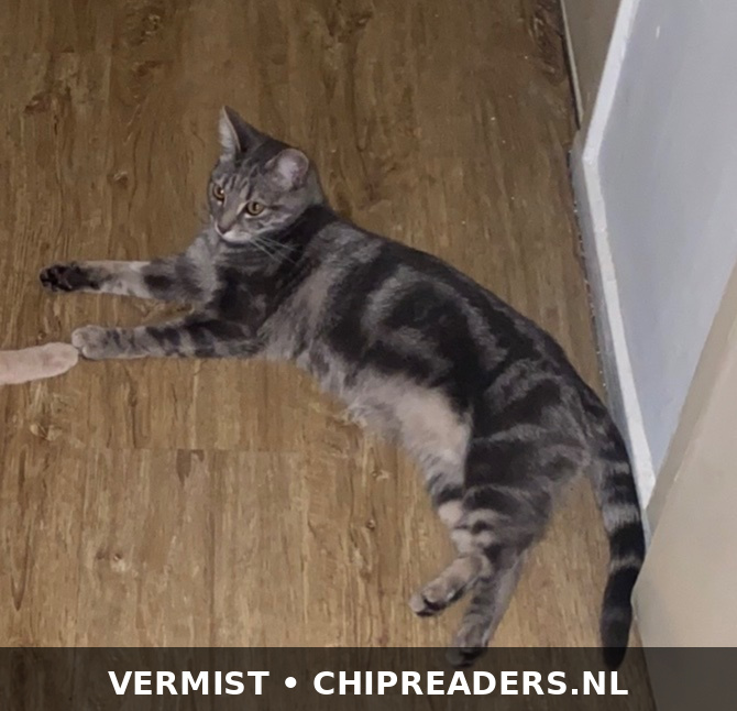 Foto van Coco