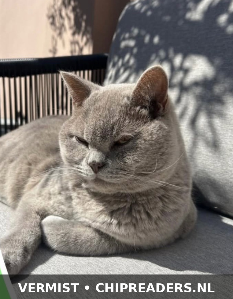 Foto van Boris
