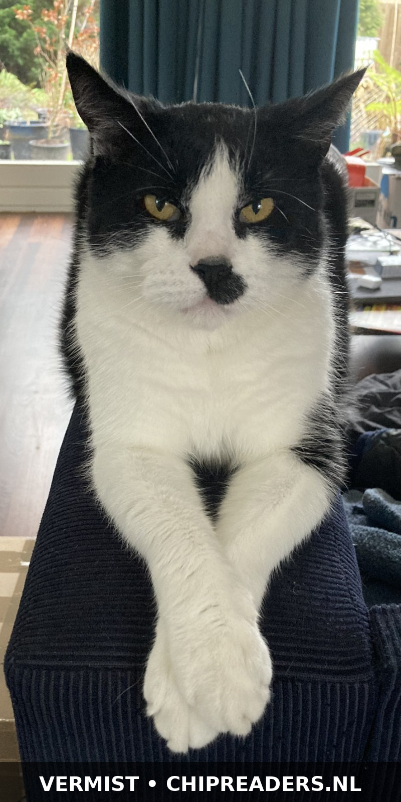 Foto van Sookie