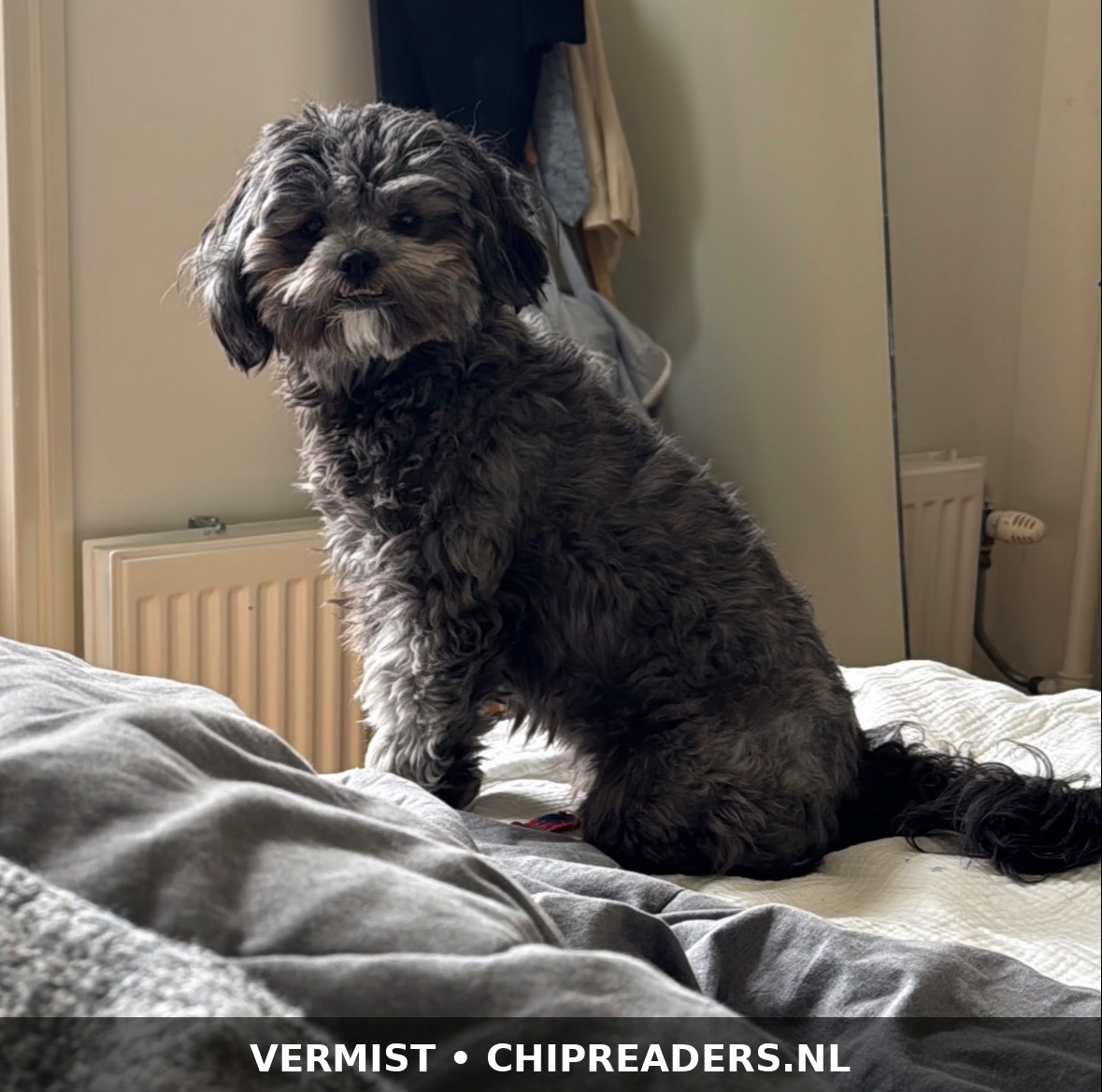 Foto van Micky Liv