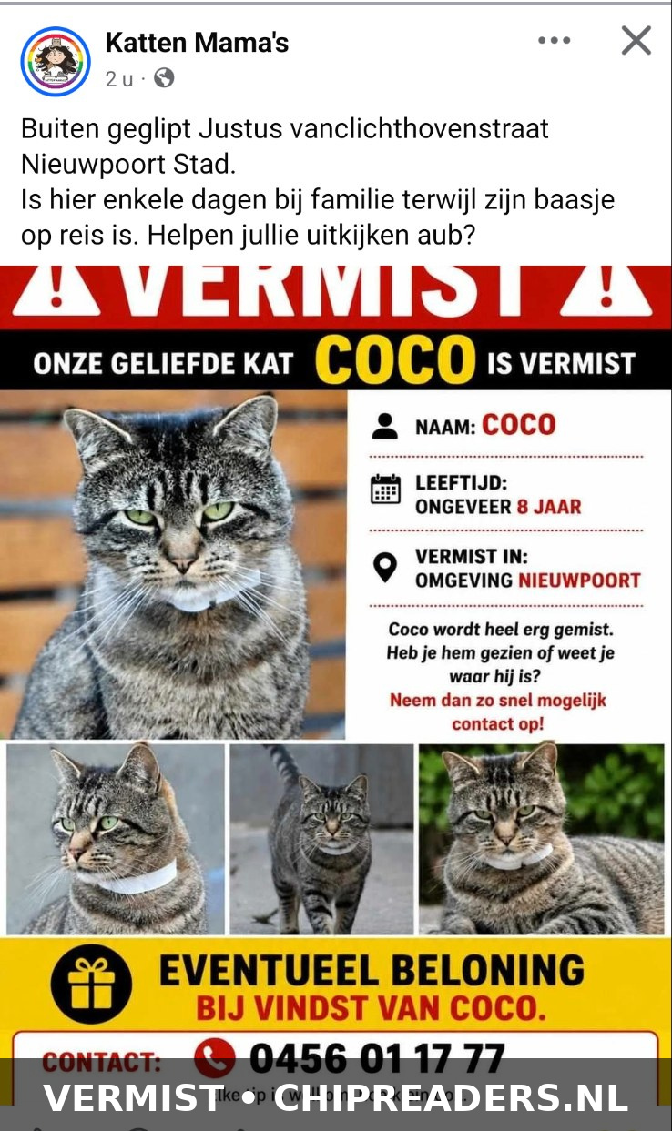 Coco foto 1