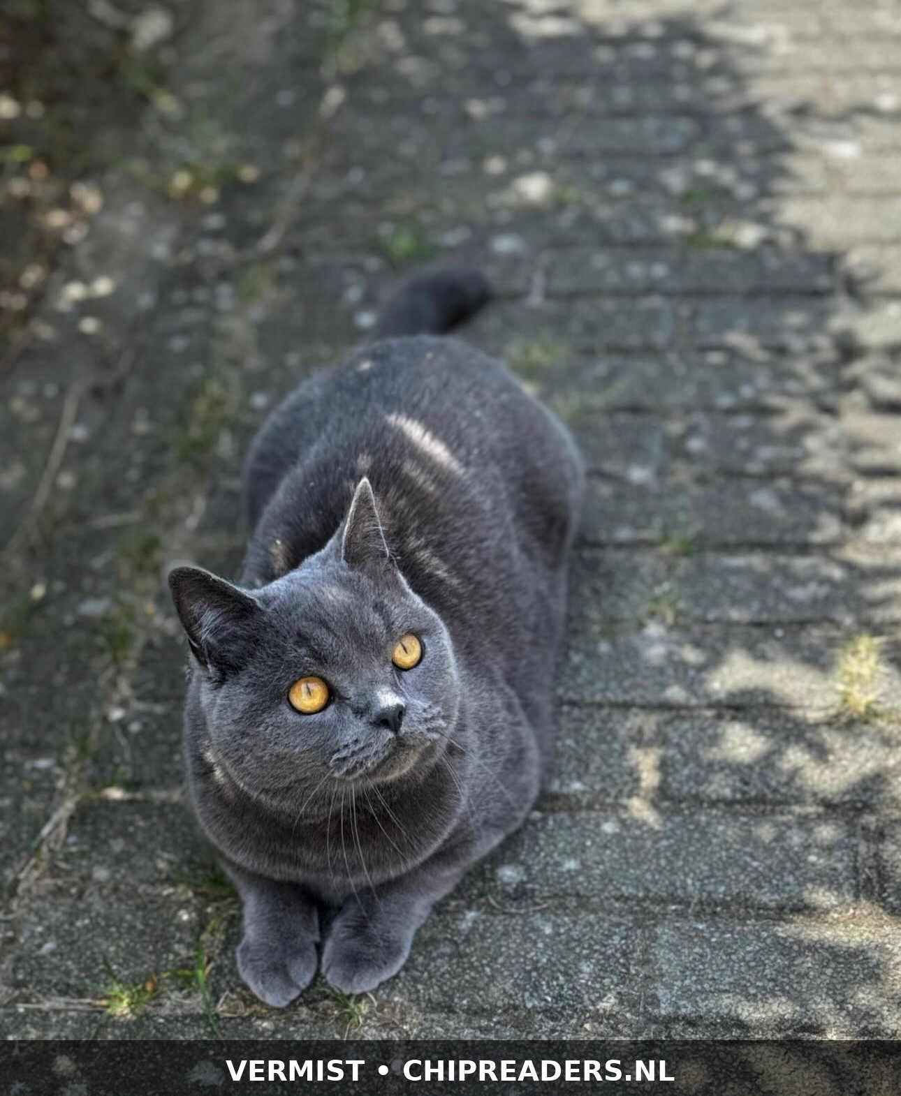 Foto van Stormy