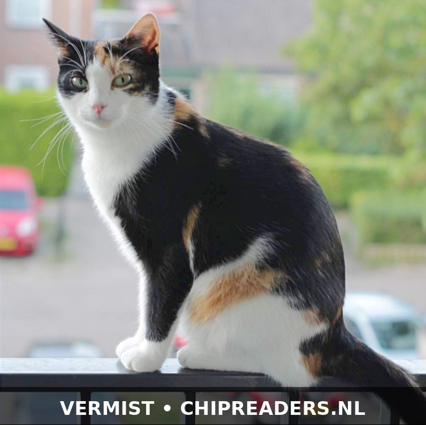 Foto van Isabella
