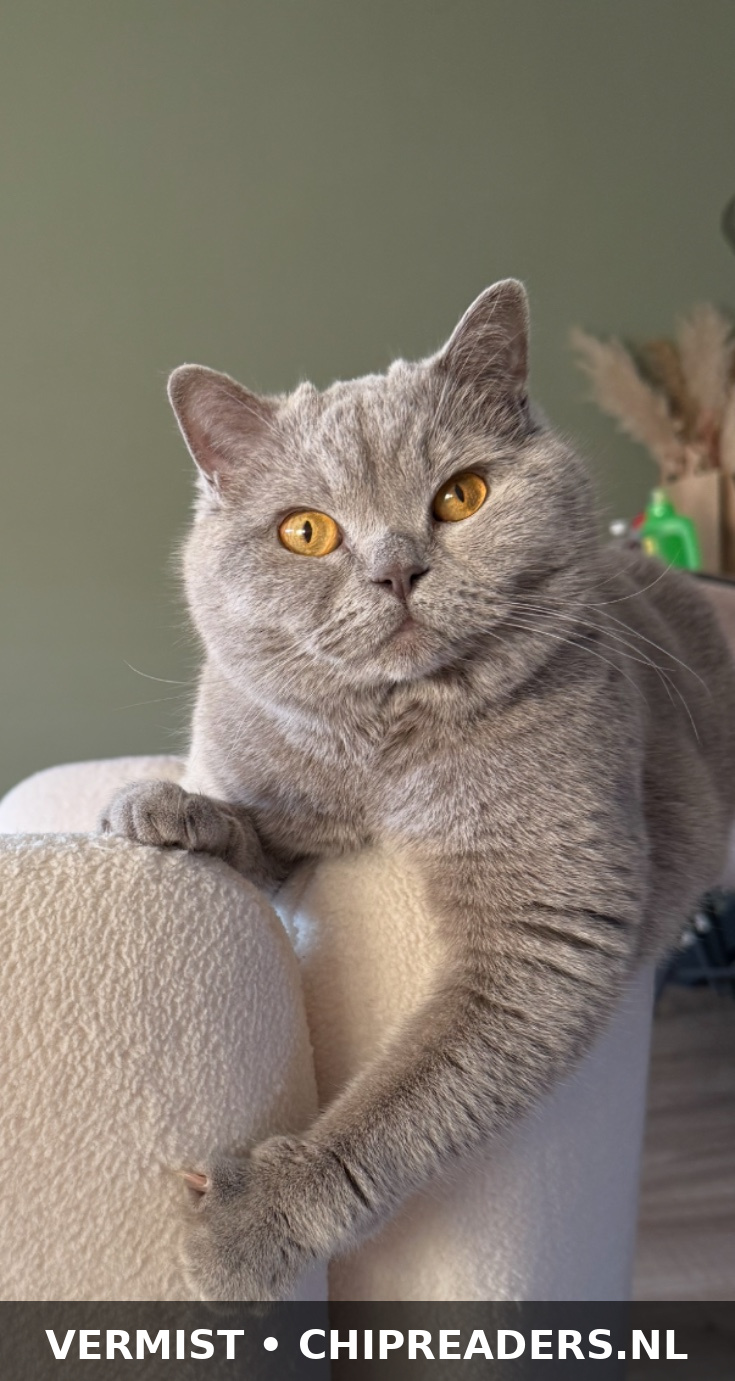 Foto van Roxy