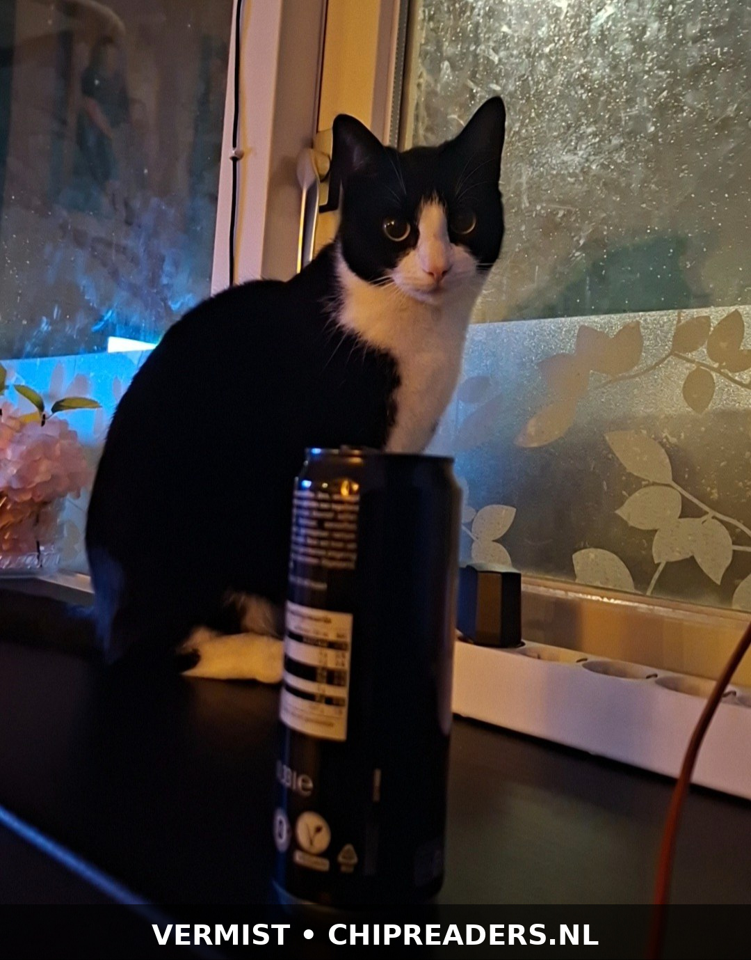 Charlie