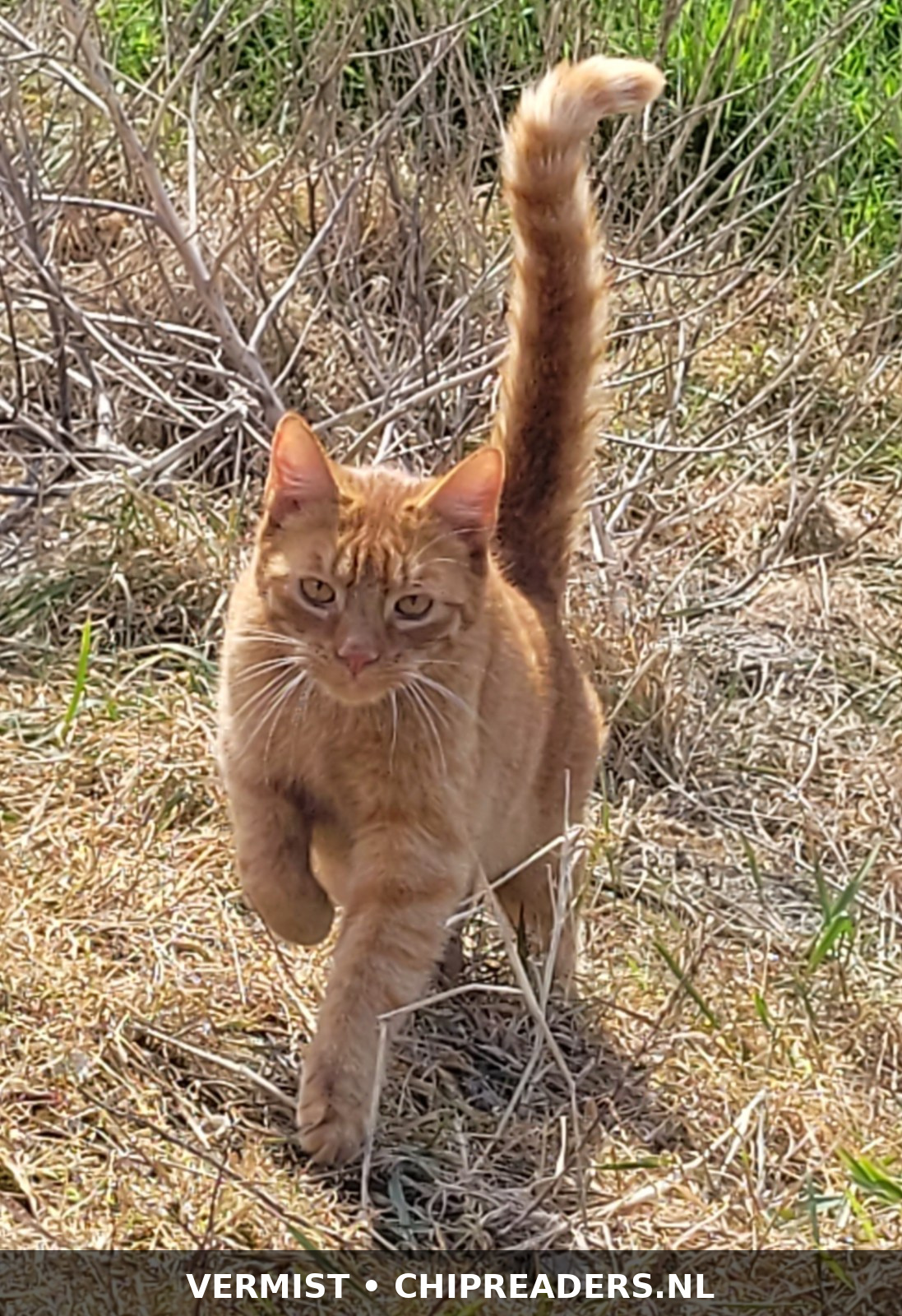 Foto van Harry