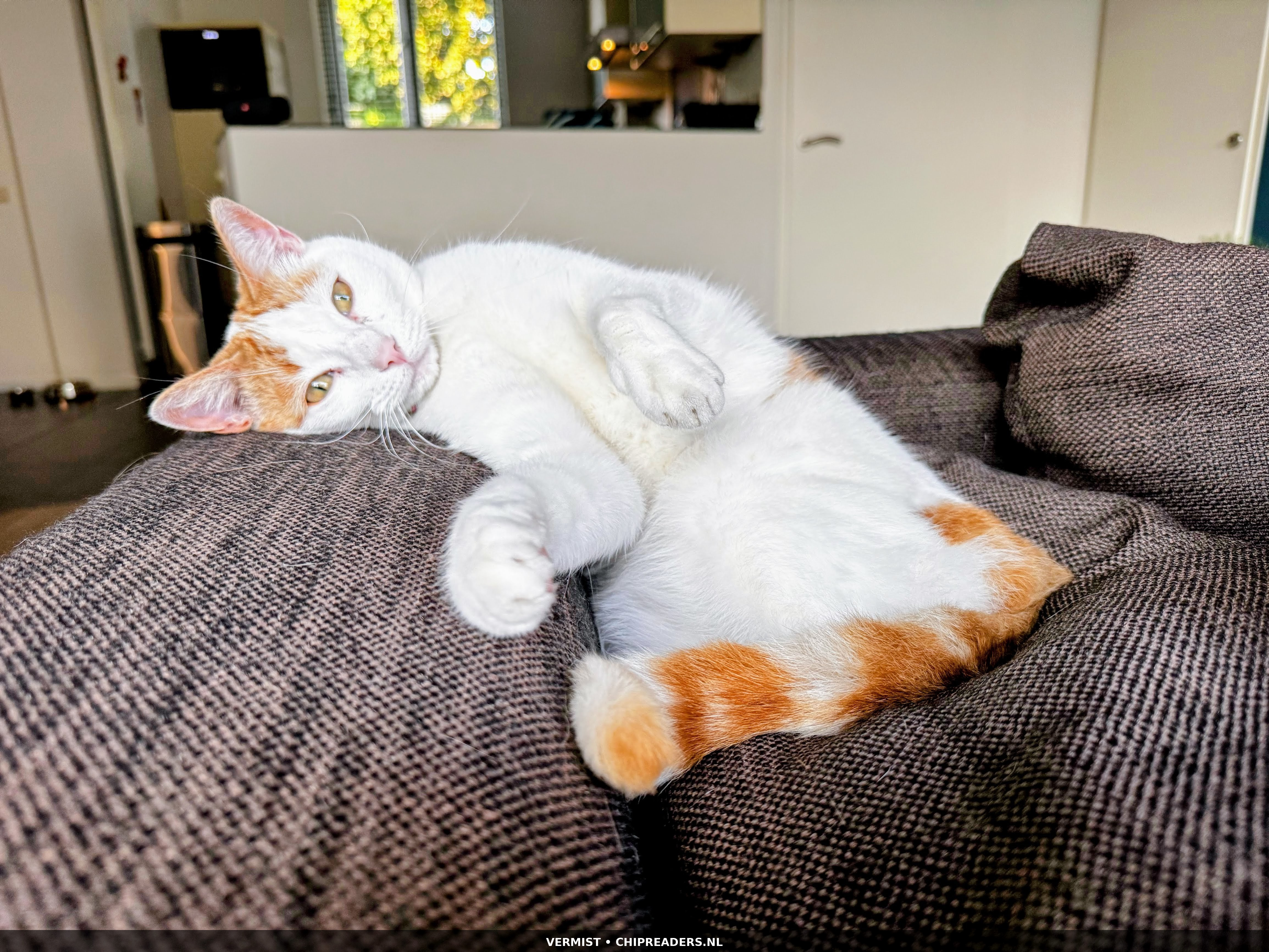 Koos(je) foto 2
