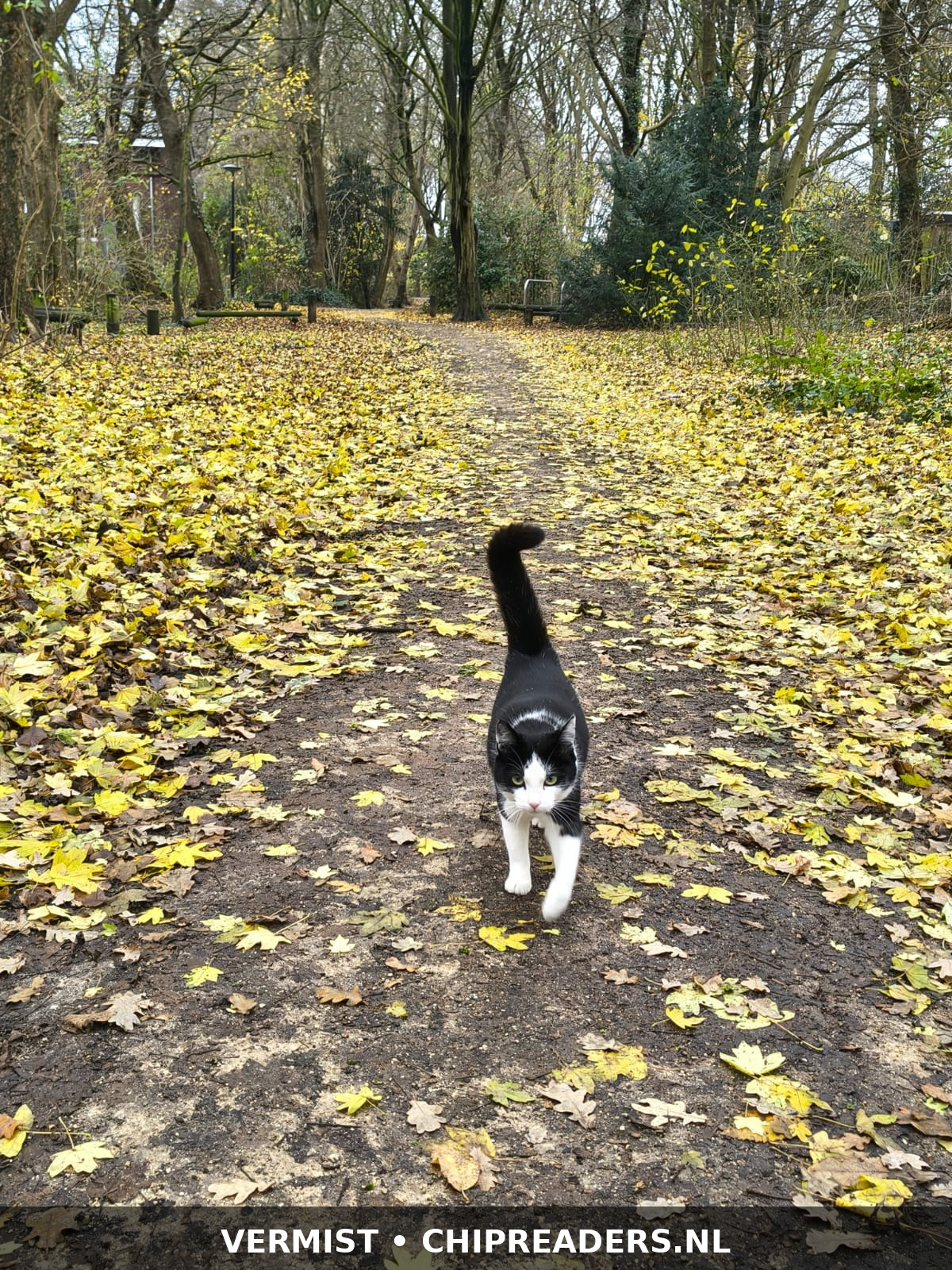 Foto van Bella