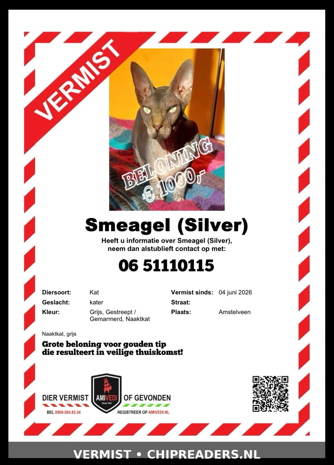 Foto van Silver Smiegel op chip?