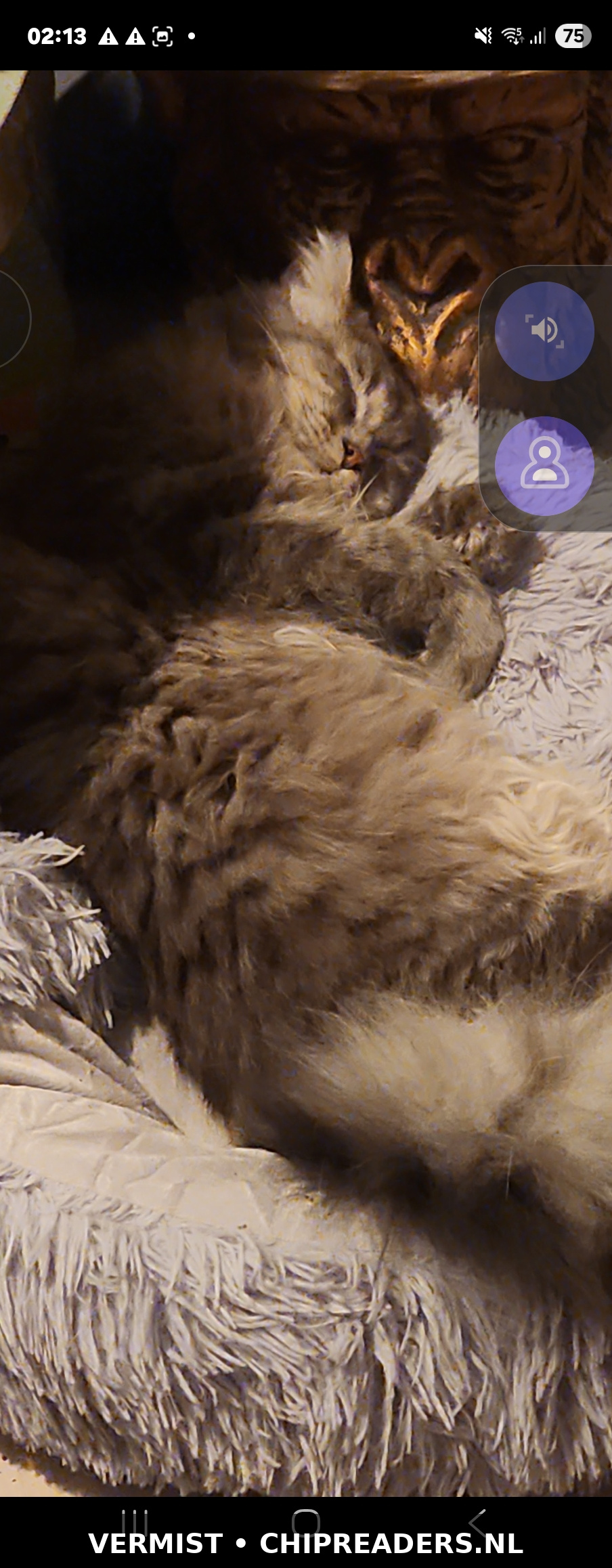 Mimmi foto 3