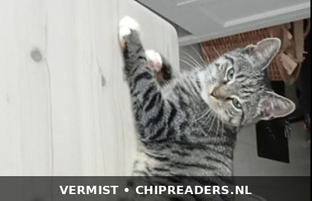 Foto van Floortje