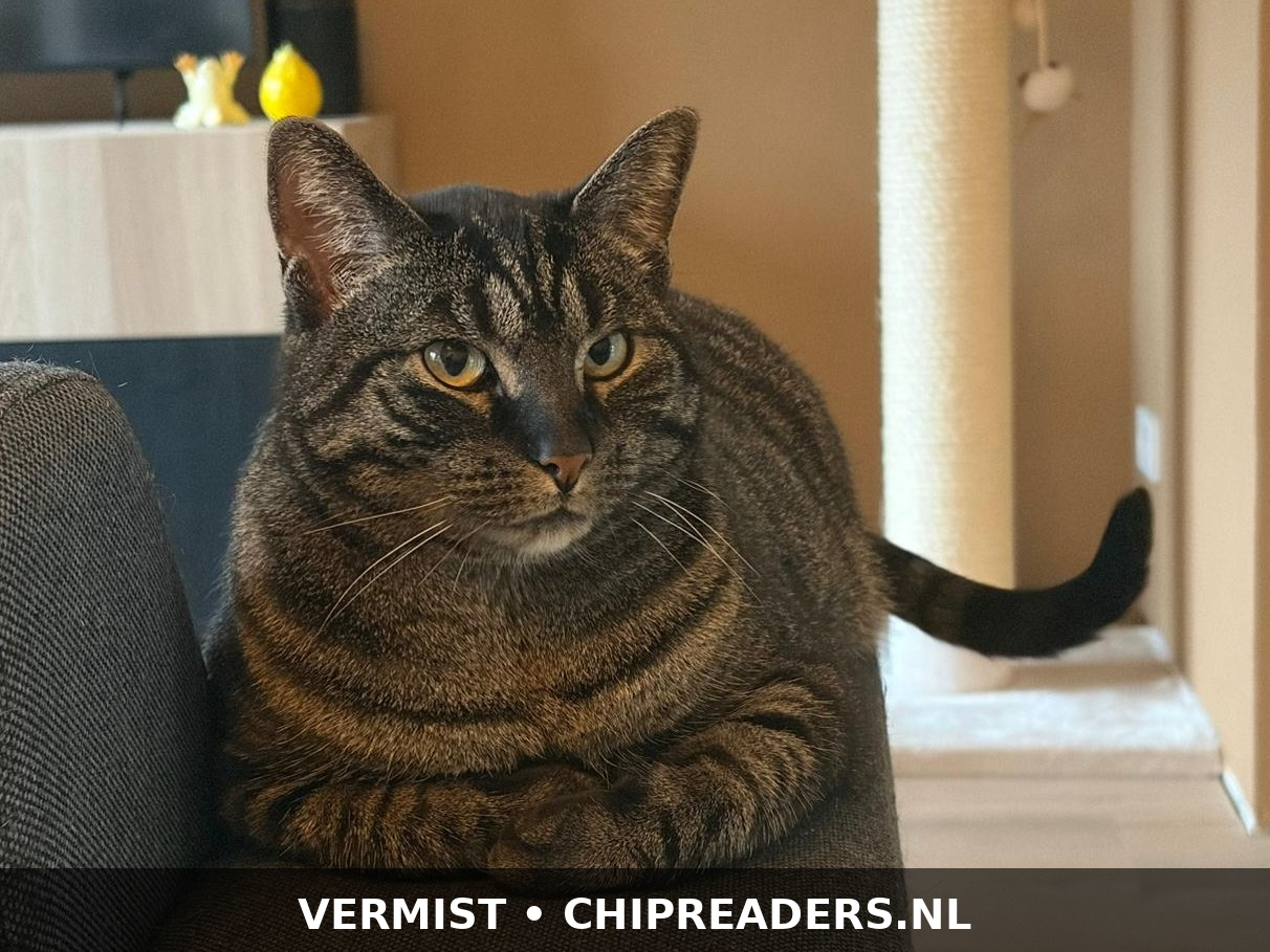 Foto van Guus