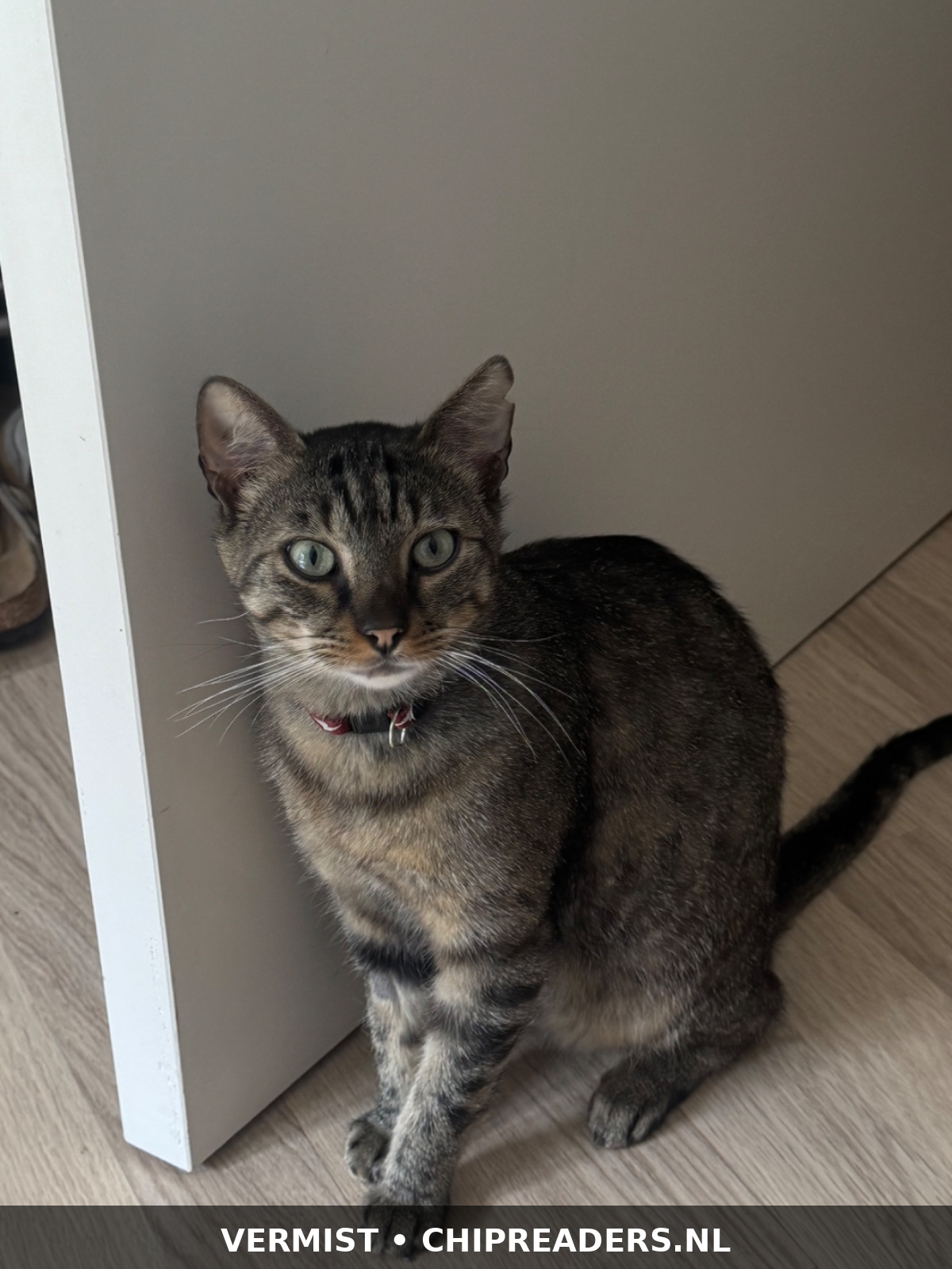 Foto van Vinnie