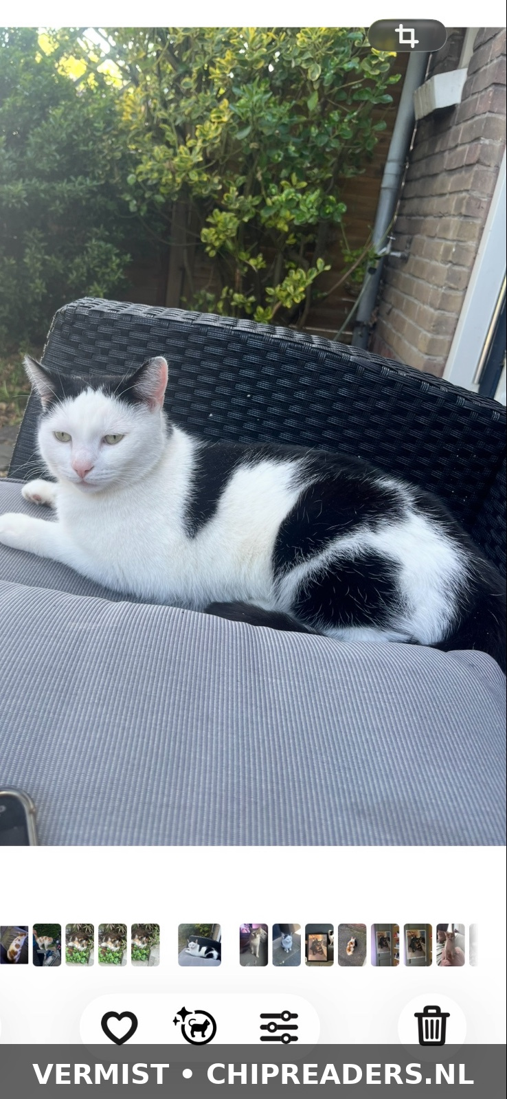 Foto van Pluisje