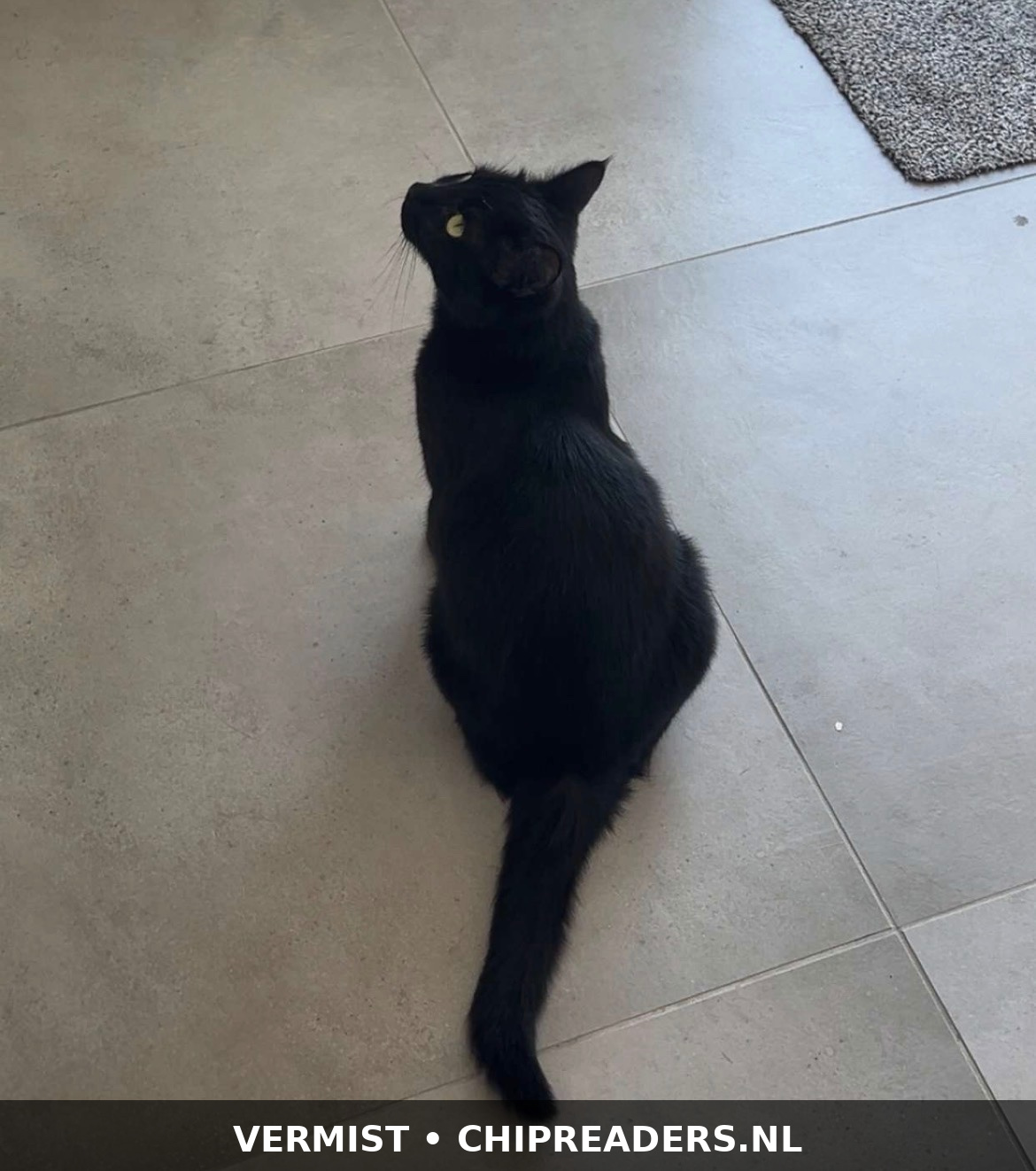 Foto van Mina