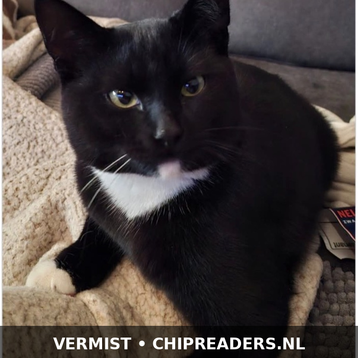 Foto van Jax