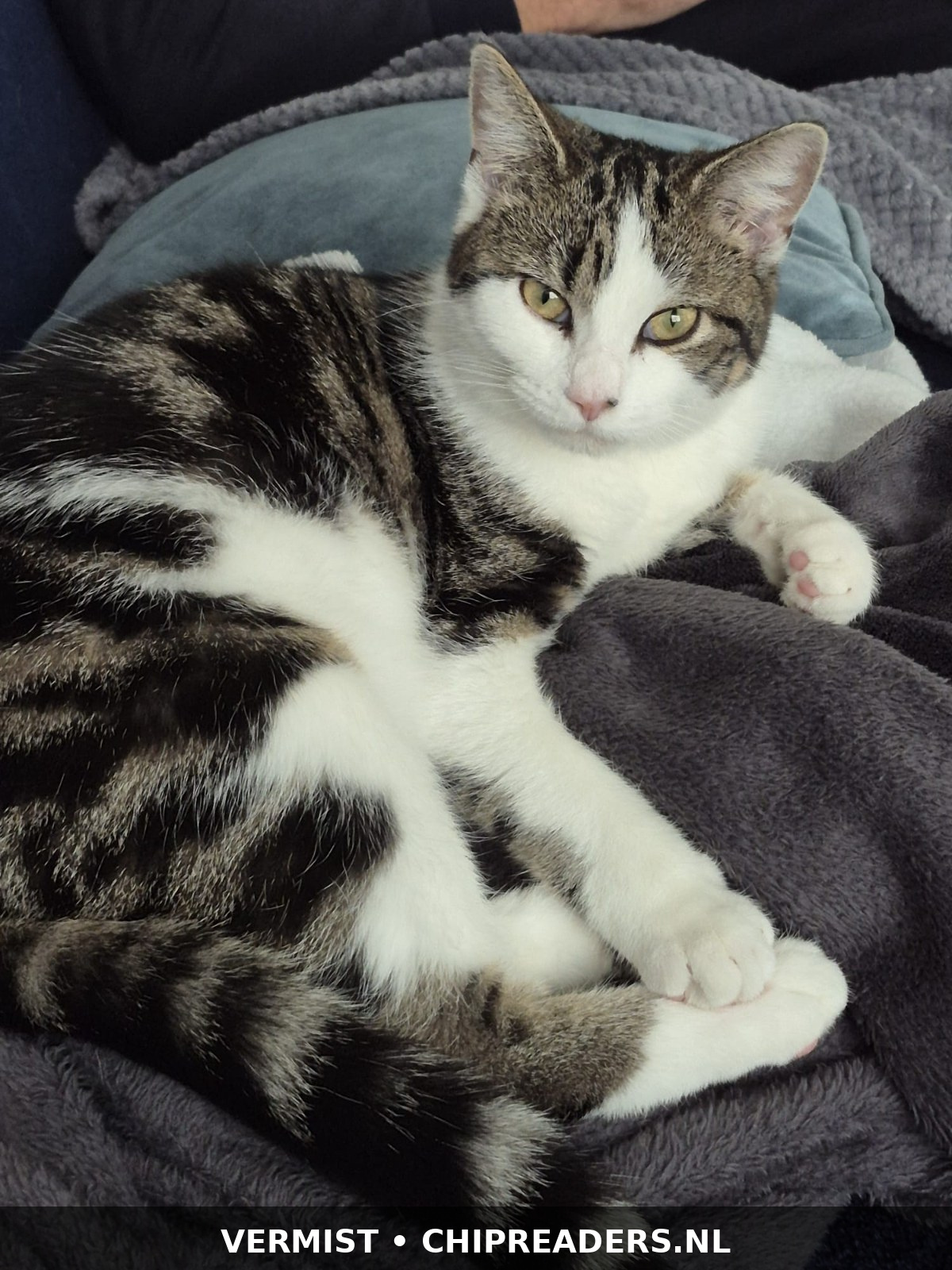Foto van Lucy