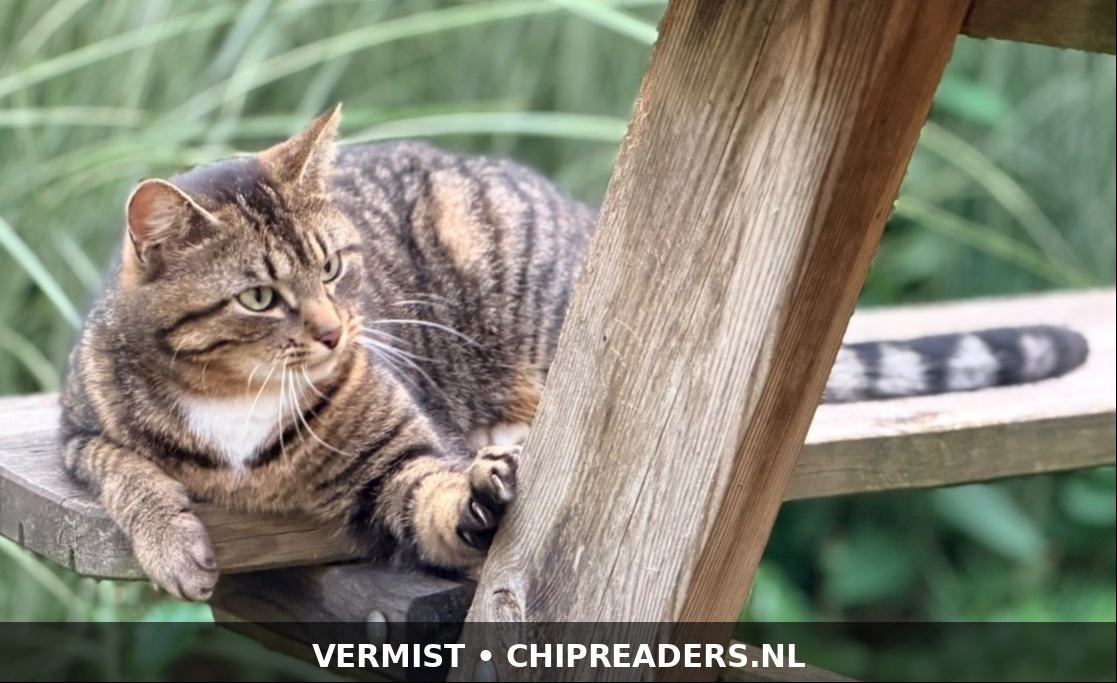 Foto van Kruimel