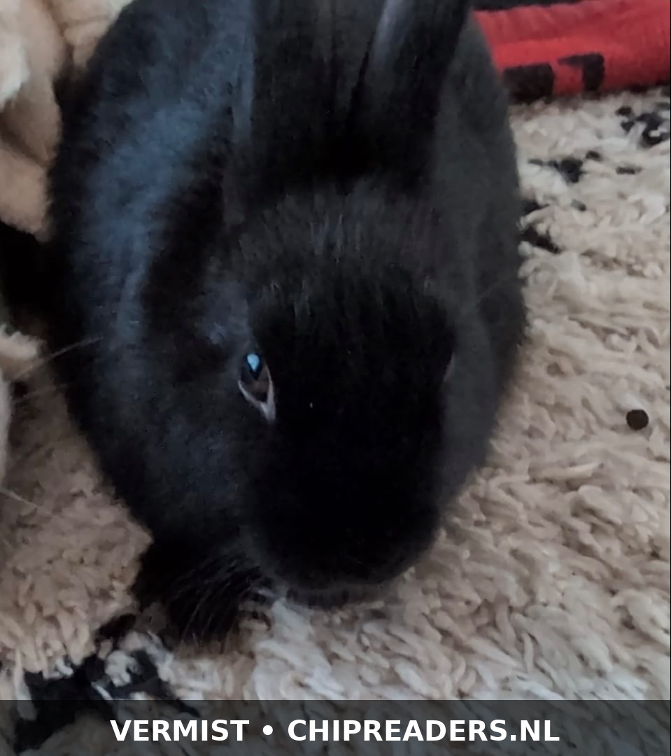 Foto van Pieter