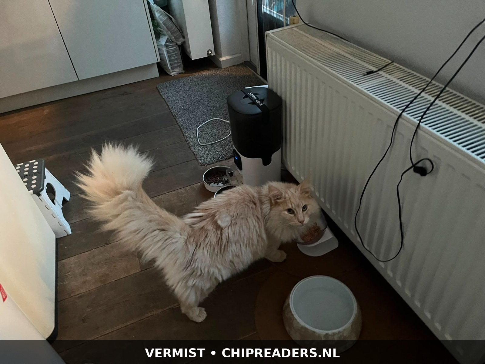 Coco foto 1