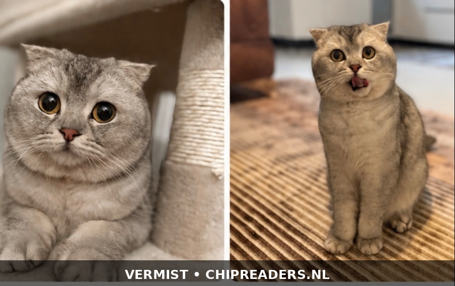 Foto van Gümüs