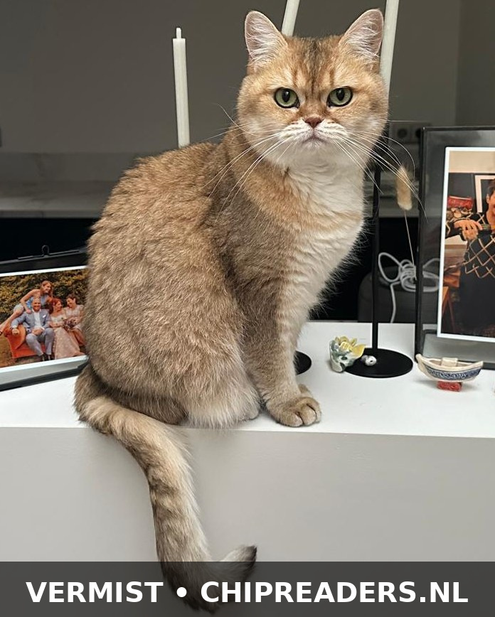 Evita