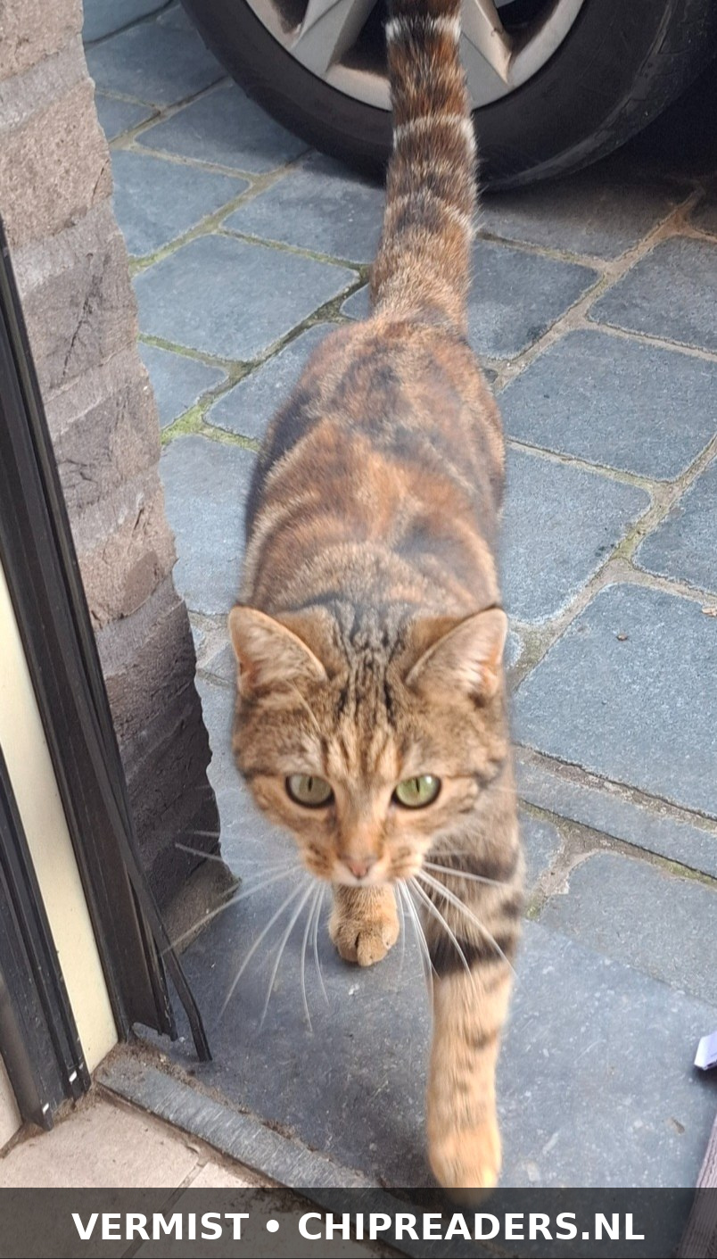 Foto van FERDINAND