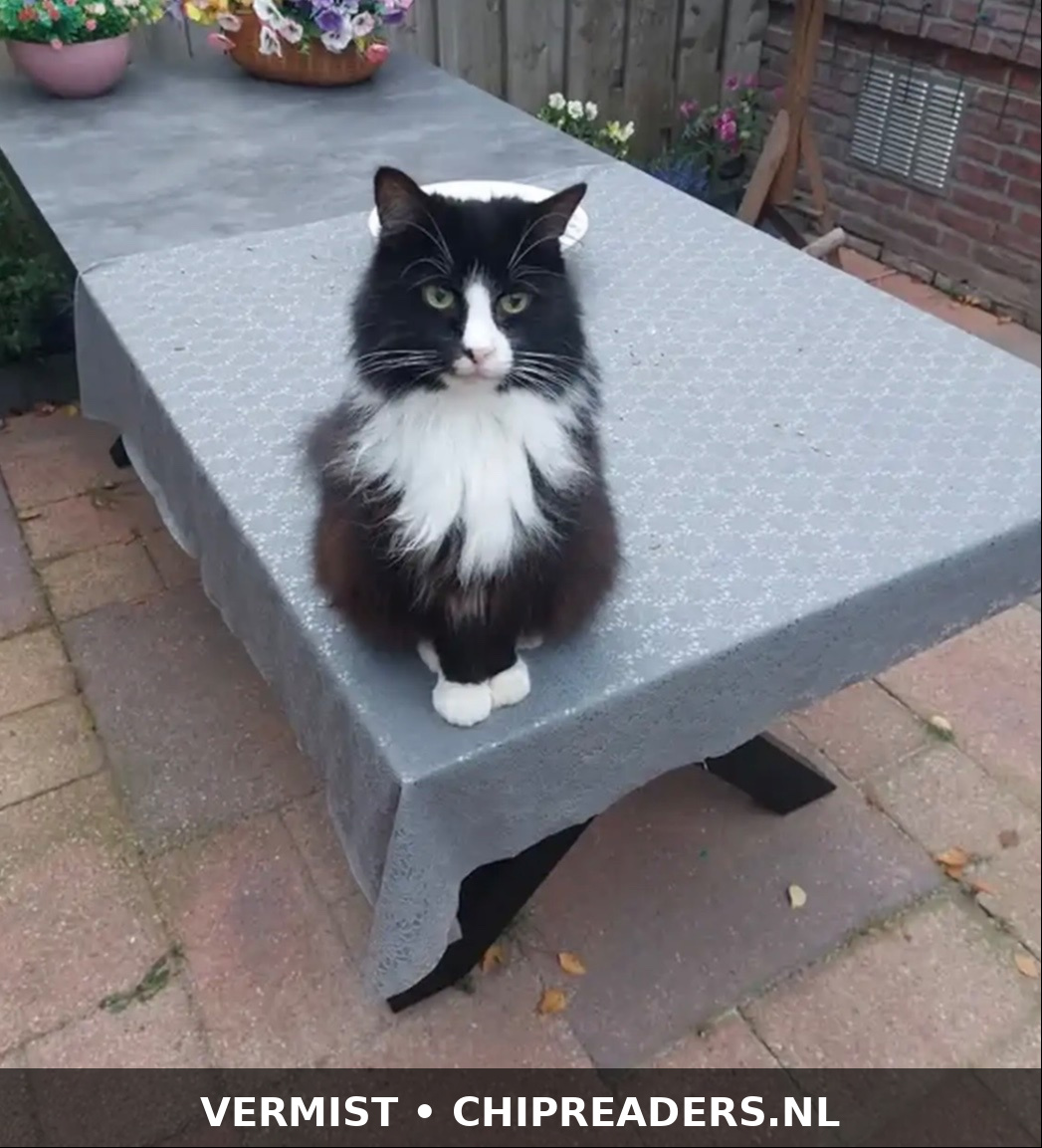 Foto van Bailey