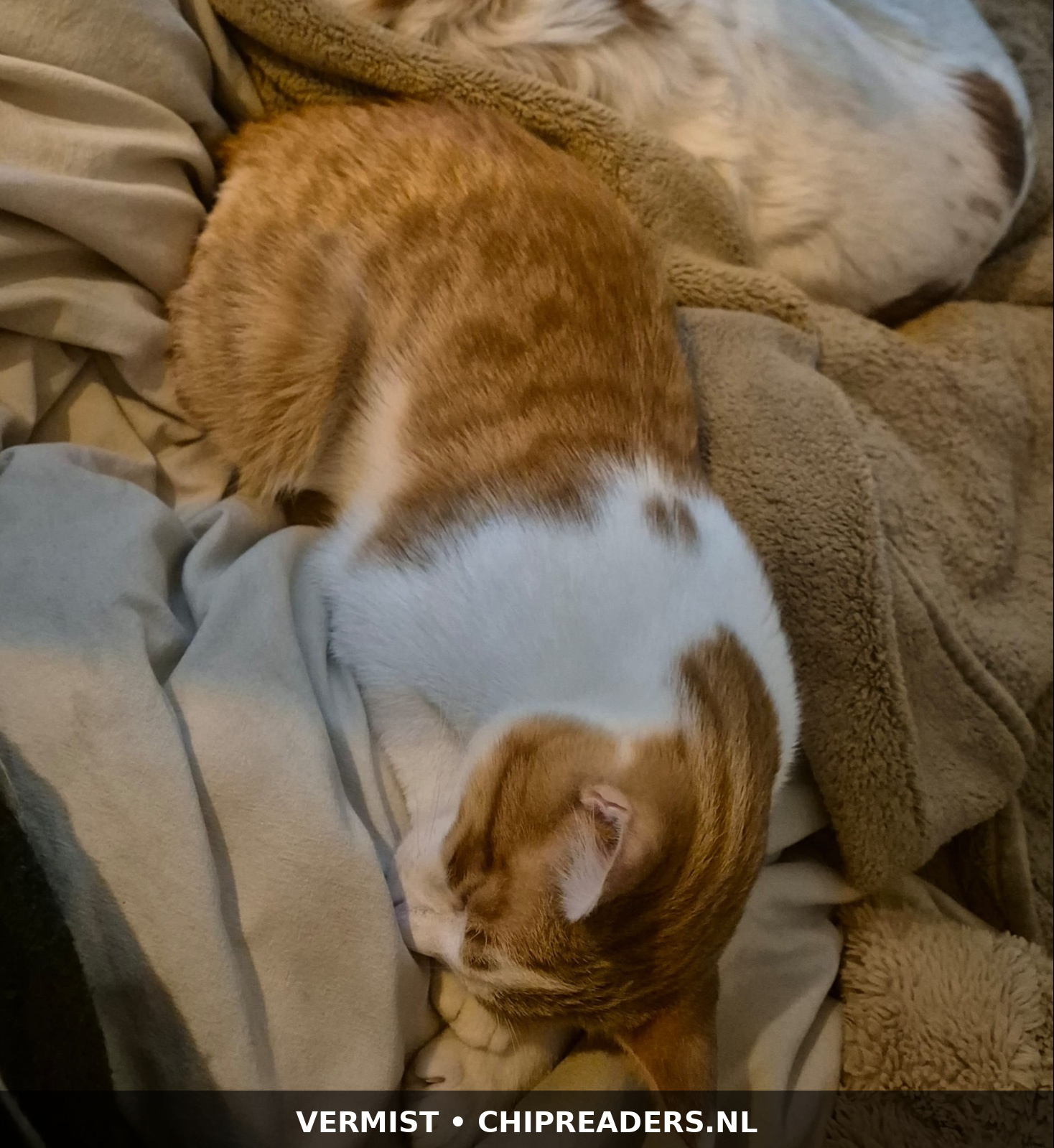 Foto van Binky