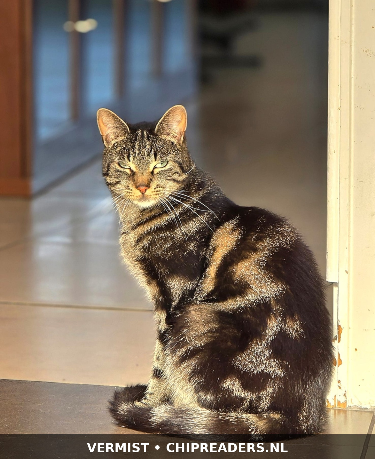 Foto van Lex