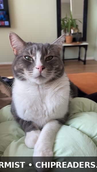 Foto van Mickey