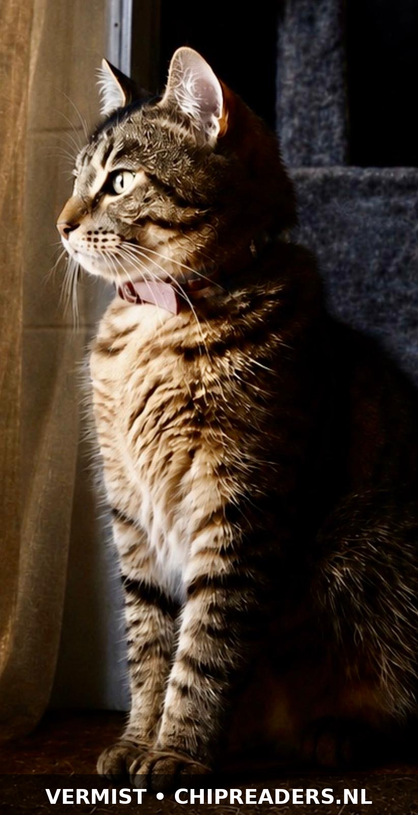 Bonnie foto 5