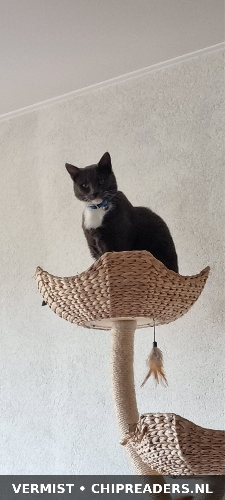 Foto van Jochie