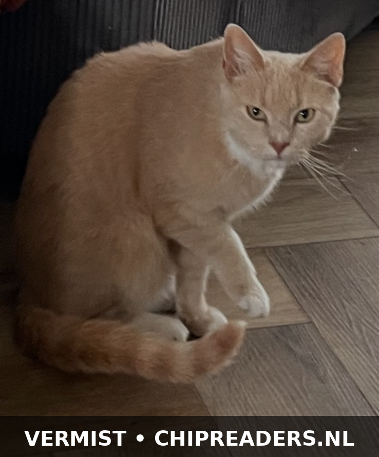 Fritzy
