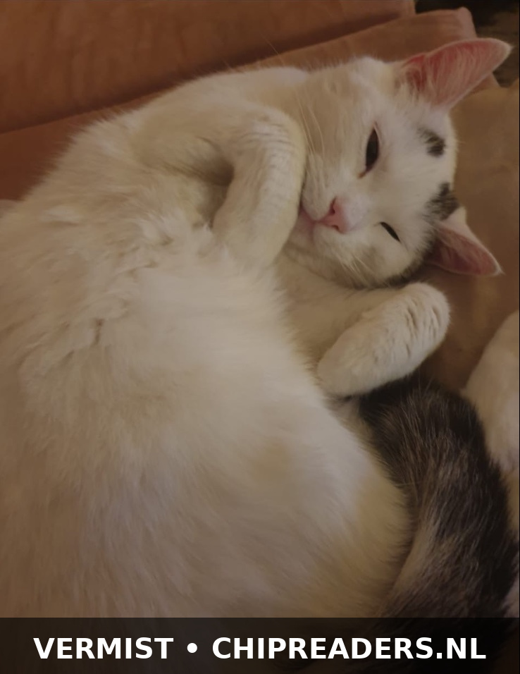 Foto van Baas