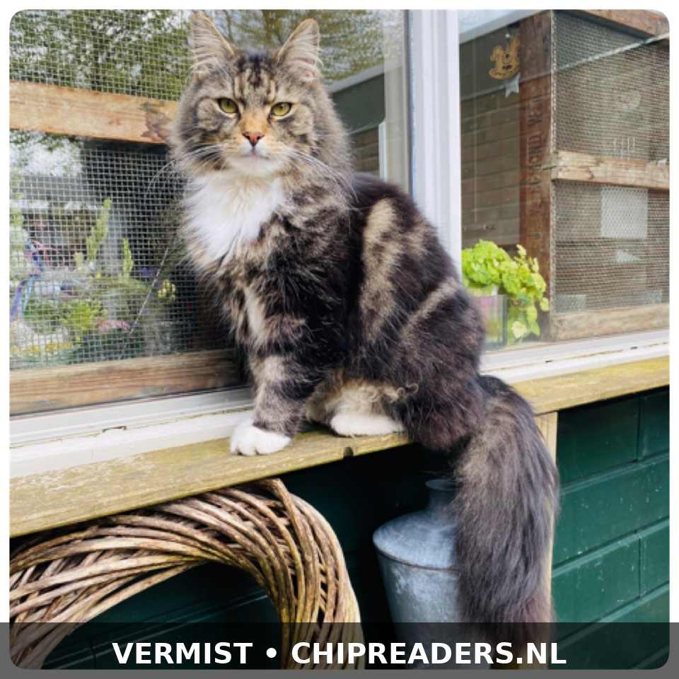 Foto van Mozes