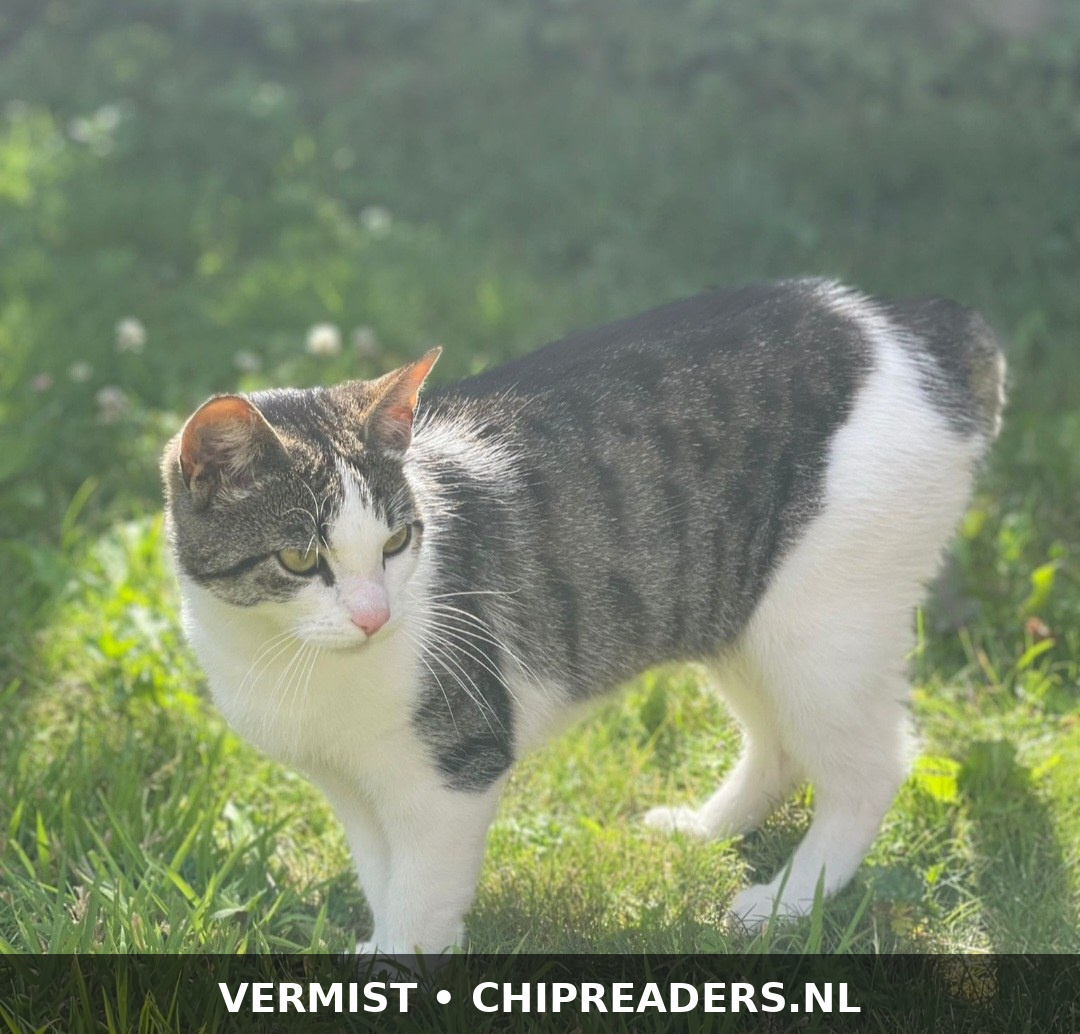 Foto van Muts
