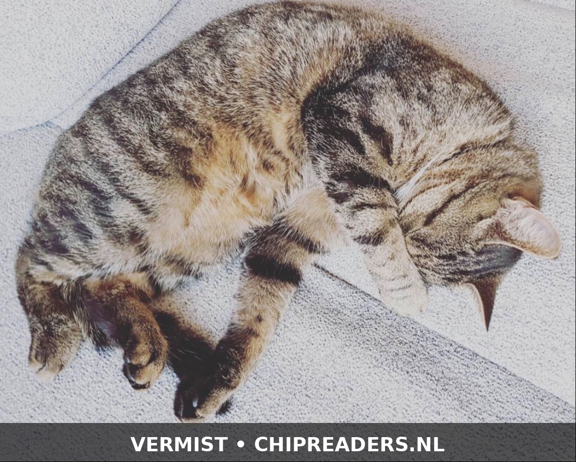 Foto van Doerak