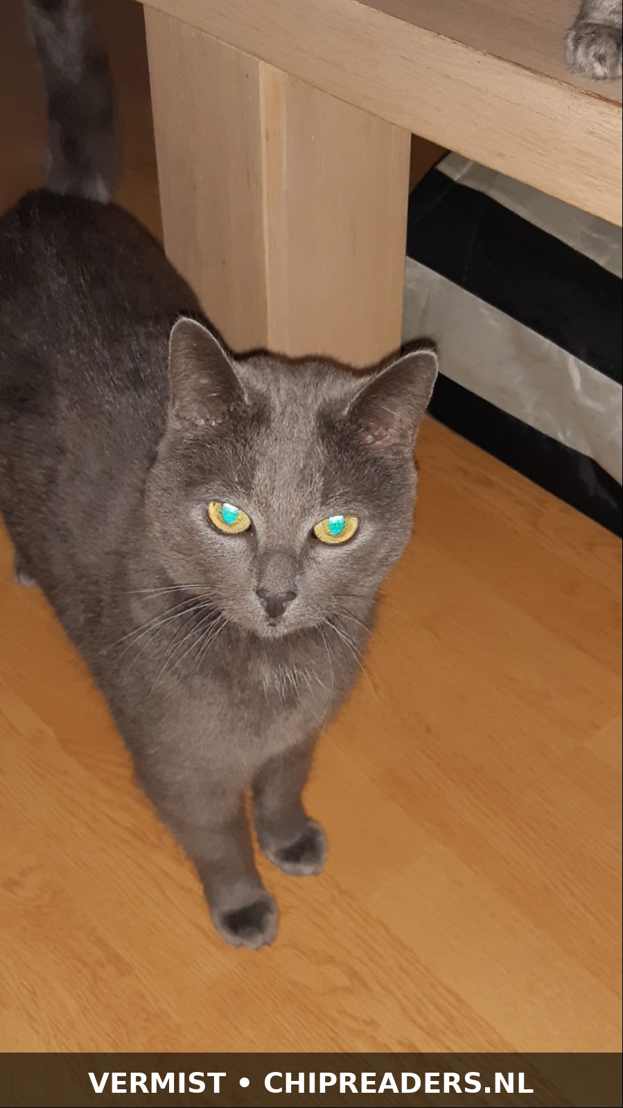 Foto van Kima