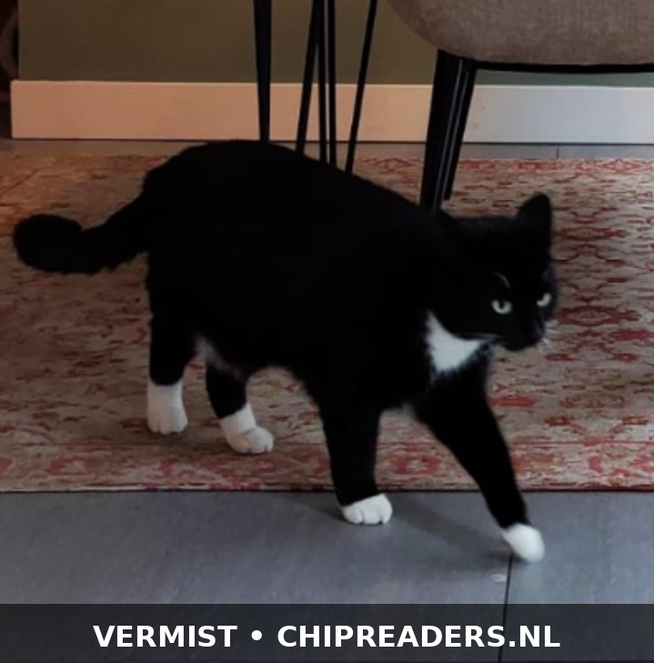 Foto van Bink