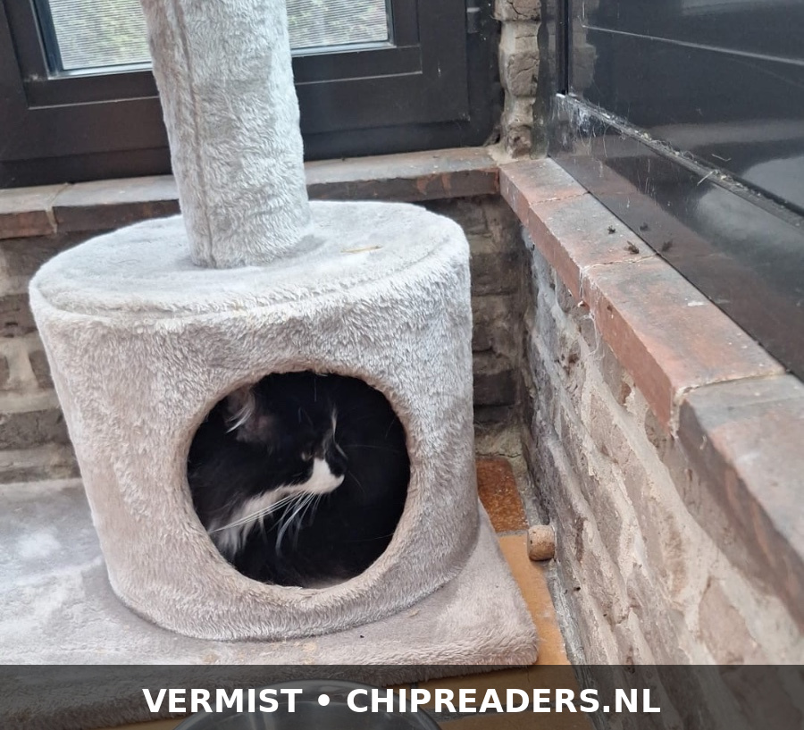 Foto van Billy