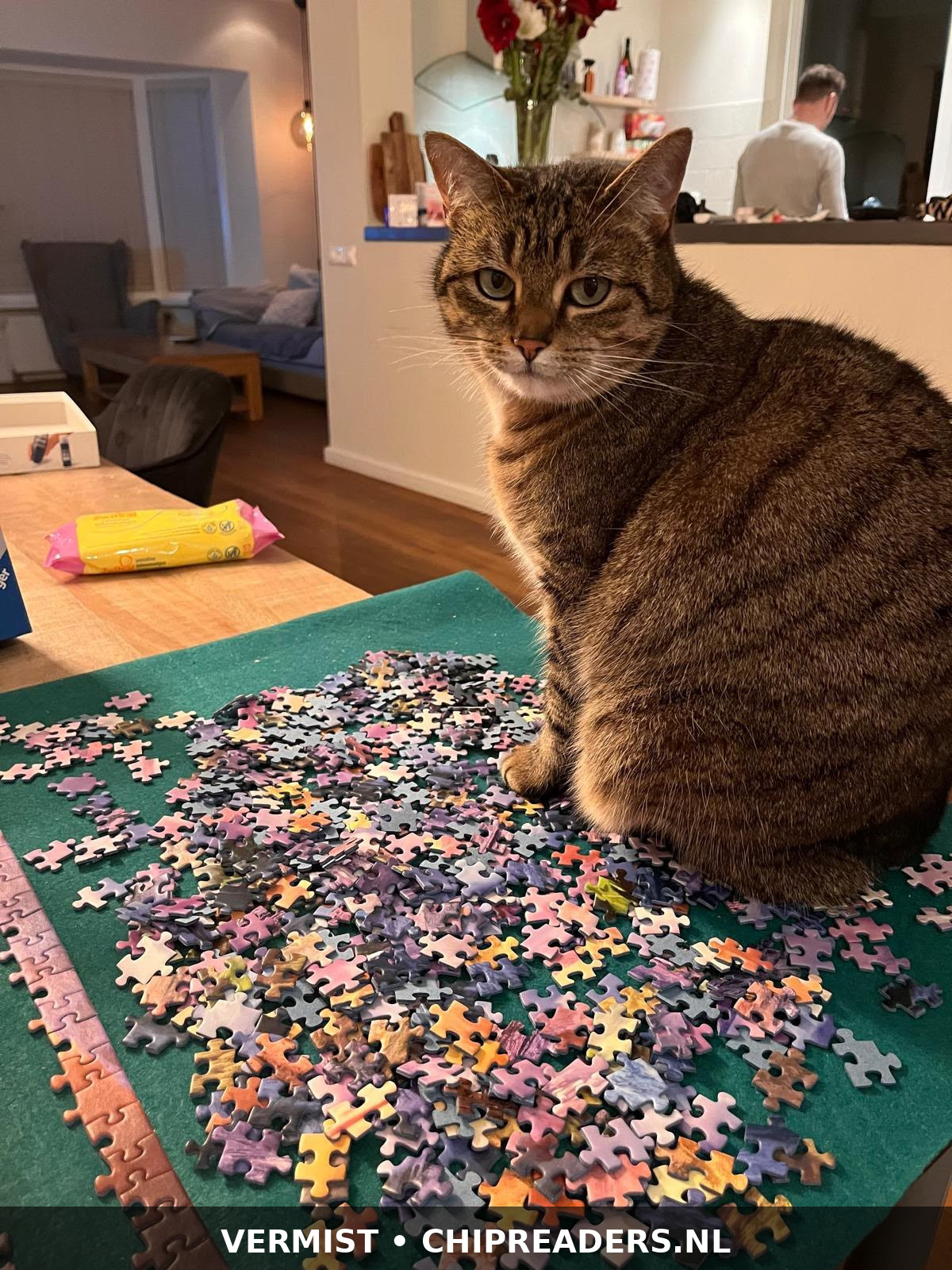 Foto van Pip