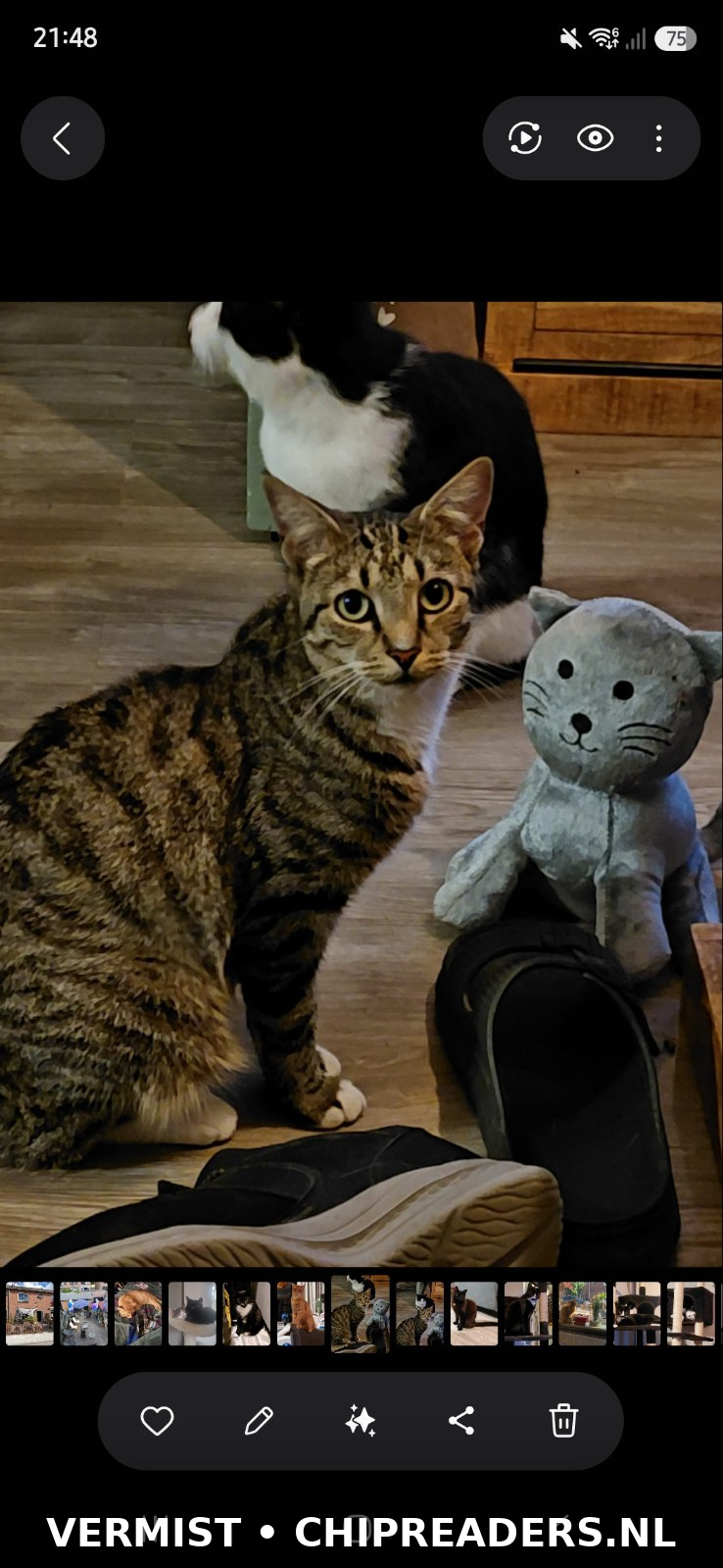 Foto van Jet
