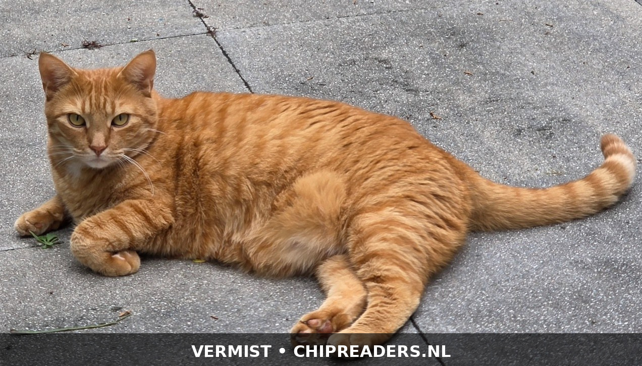 Foto van Bobby