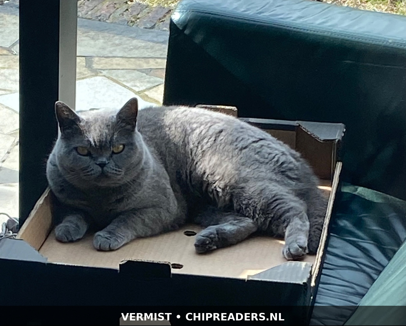 Foto van Luna