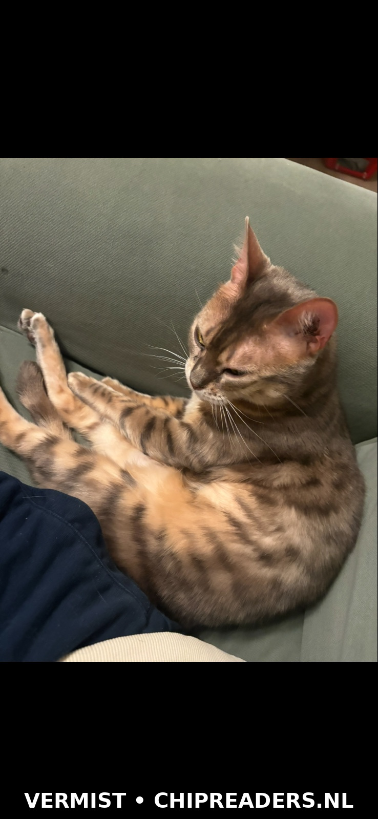 Benji
