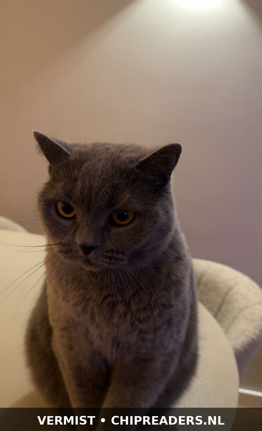 Foto van Nala